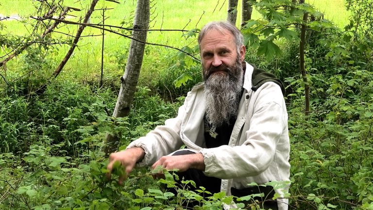 Ramūnas Daugelavičius vaistažolės kužda senolių paslaptis