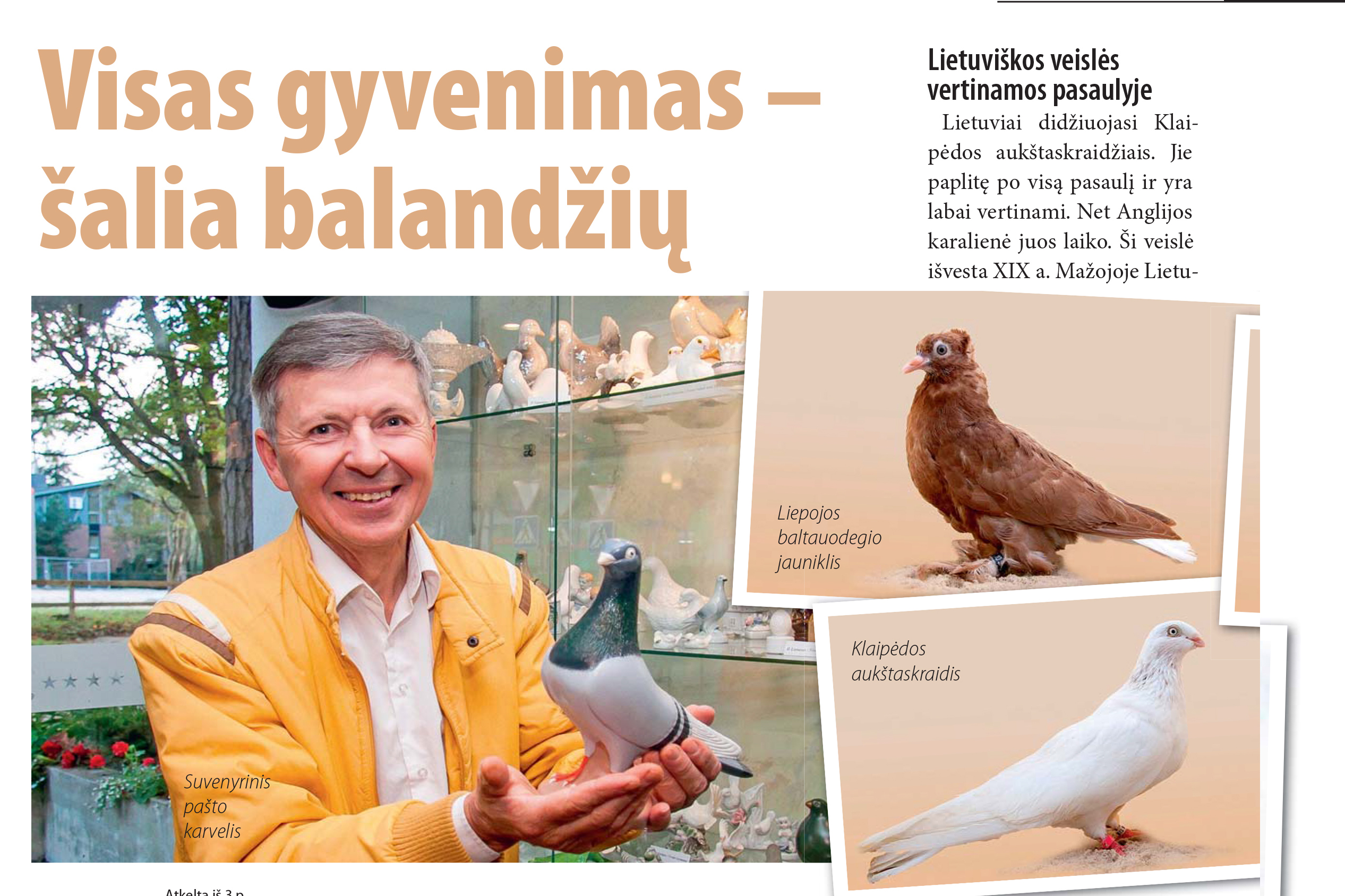 Visas gyvenimas - šalia balandžių