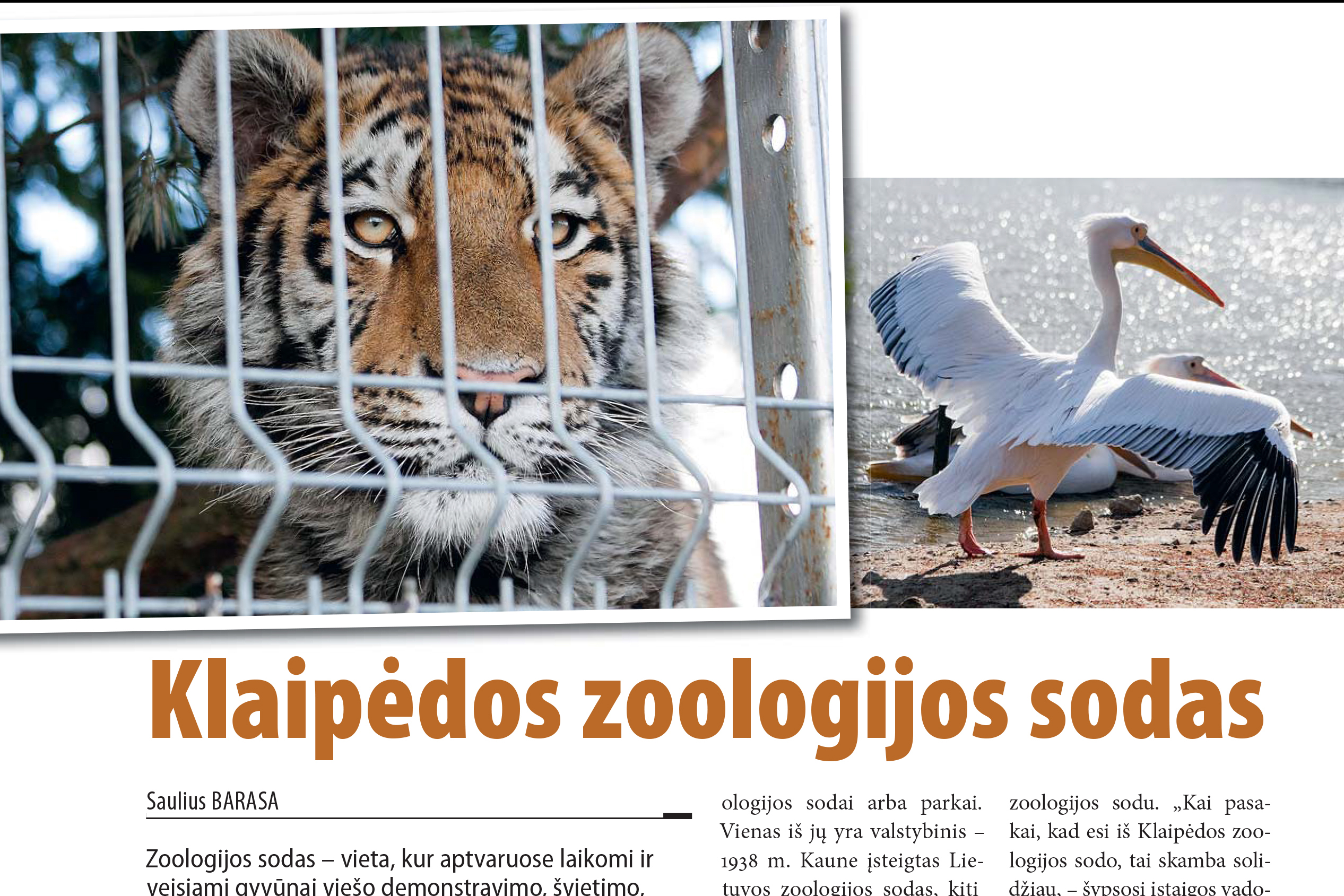 Klaipėdos zoologijos sodas