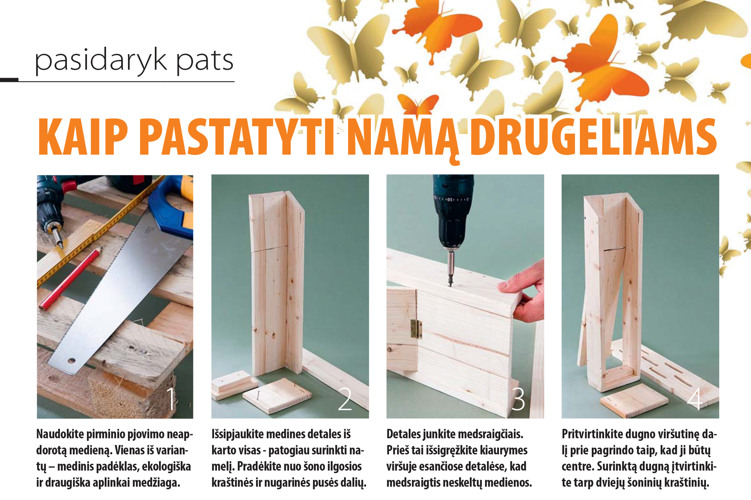 Kaip pastatyti namą drugeliams