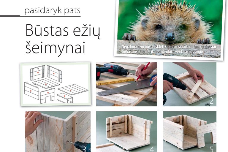 Būstas ežių šeimynai