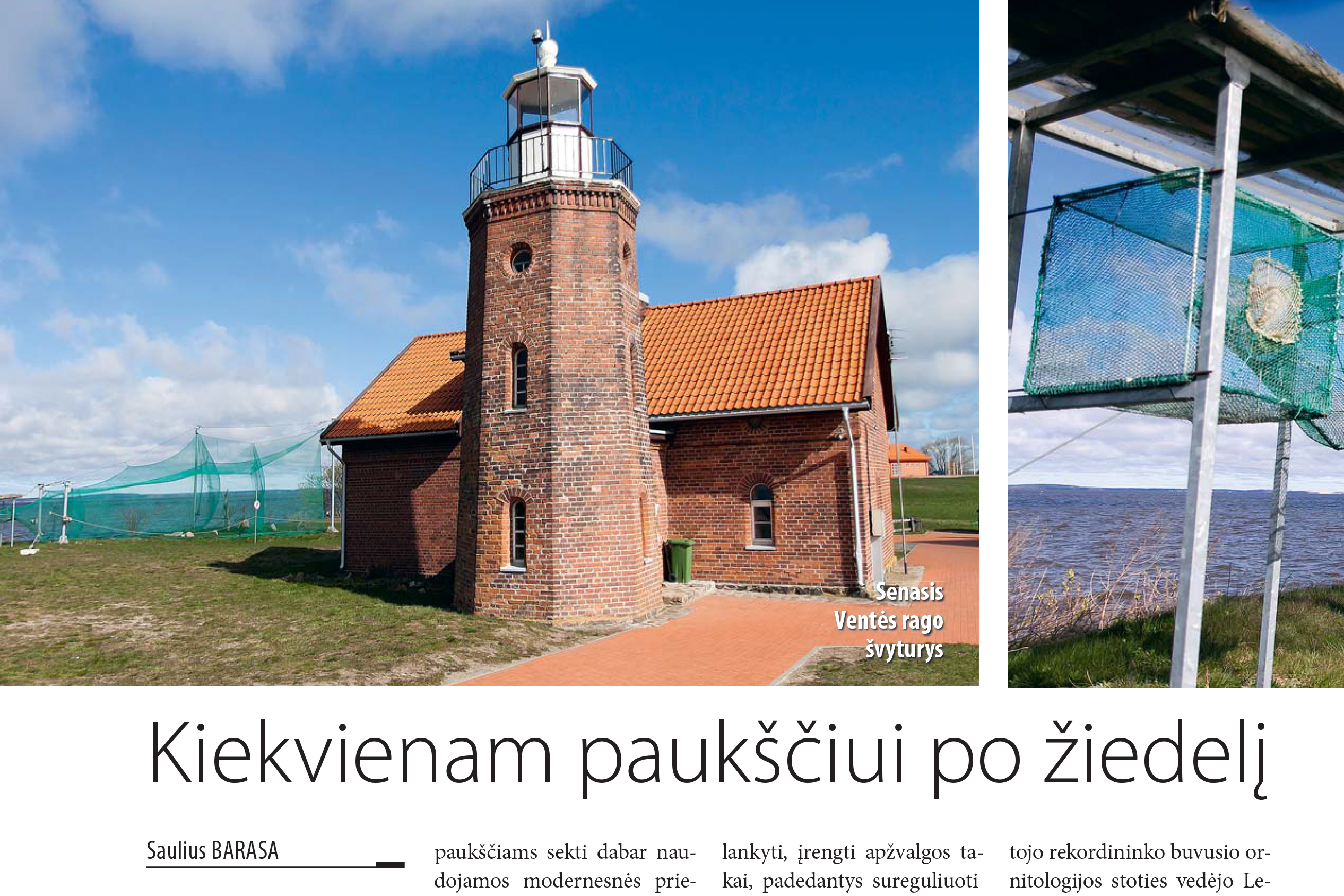 Kiekvienam paukščiui po žiedelį