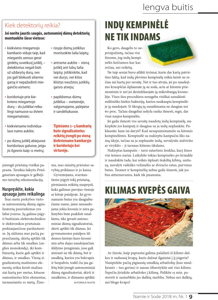 Saugūs namai – prabanga ar būtinybė?