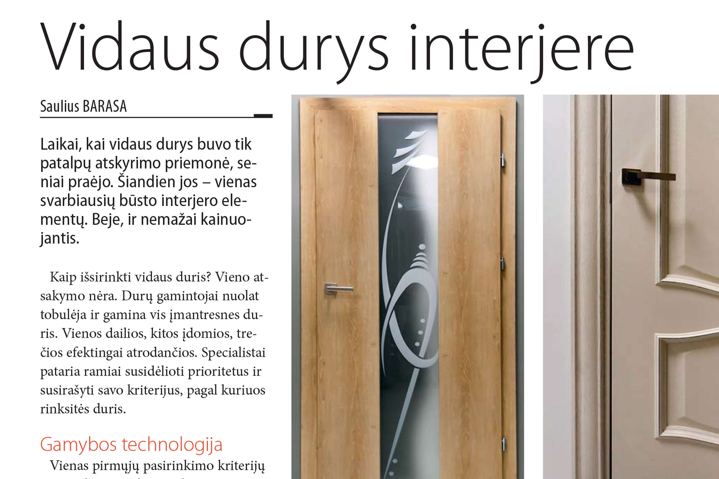 Vidaus durys interjere