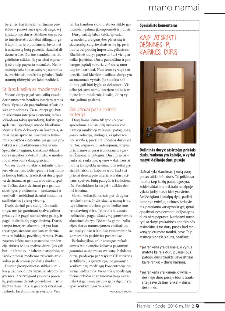 Vidaus durys interjere